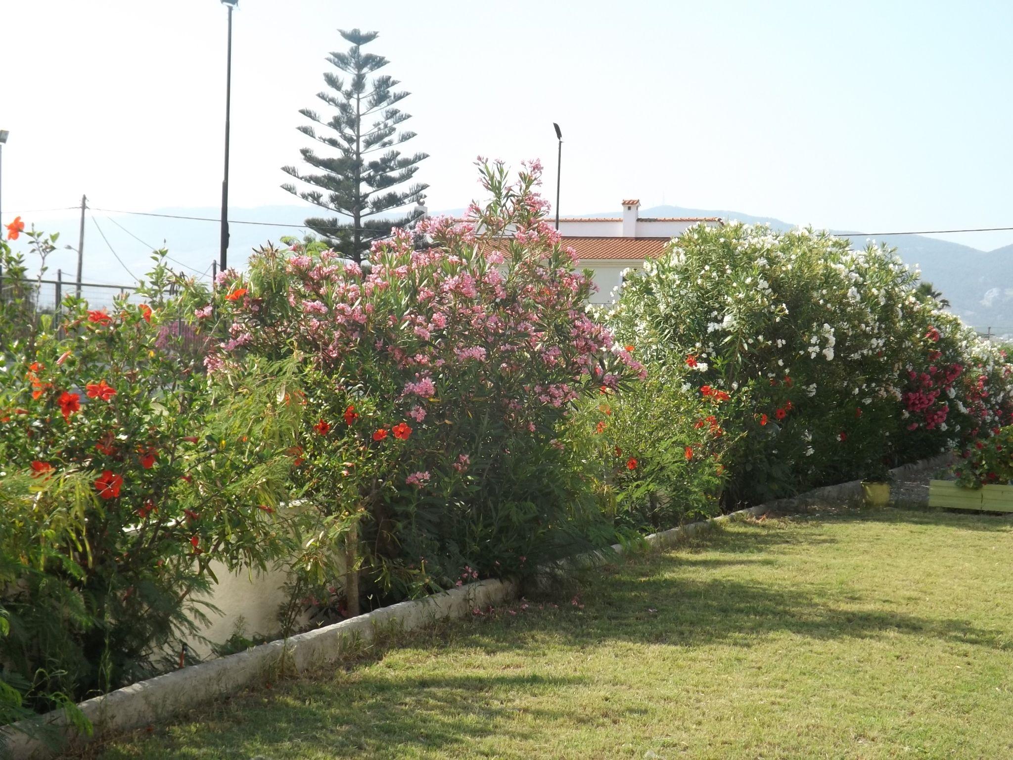 Leonidas Hotel & Studios Kos Town Exterior photo